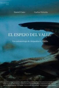 Caratula El Espejo del Valle